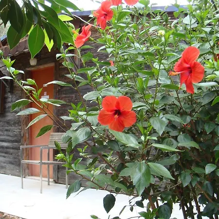 Likya Misafir Ve Seminer Evi