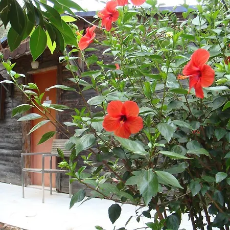 Likya Misafir Ve Seminer Evi